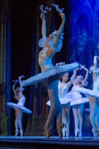 Arthur Oliver Moscow Ballet Snowflake Tutu