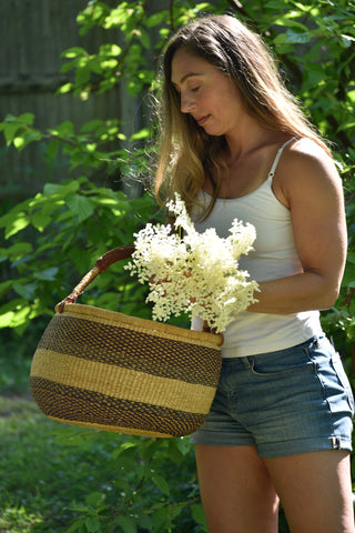 Elderflower harvest Gather perfume Ananda Wilson