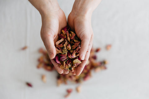 Roses, Ananda Gather, perfumer's hands