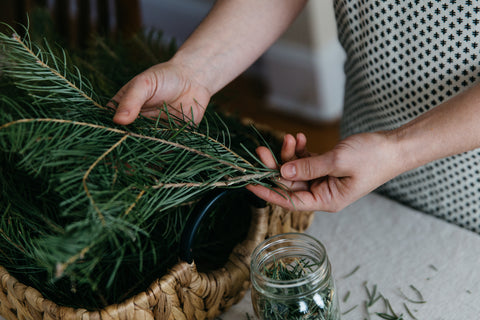 White Fir Ananda Gather perfume