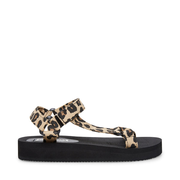 leopard steve madden sandals