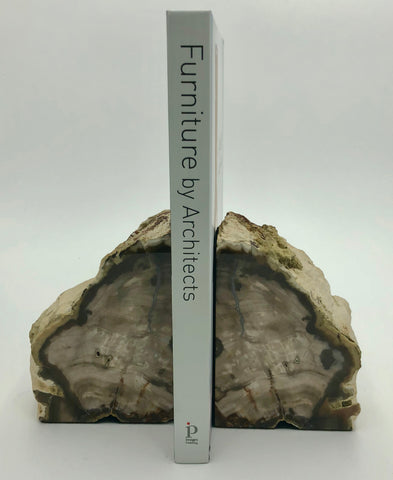 Copy of Fossilized Wood Bookends - Small