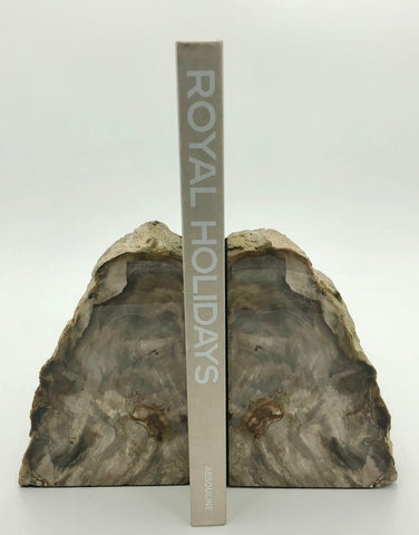 Fossilized Wood Bookends - Medium