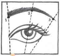 Eye brow shape guide