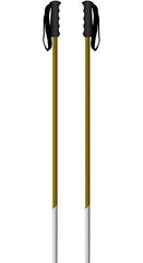 CT 4.0 POLE