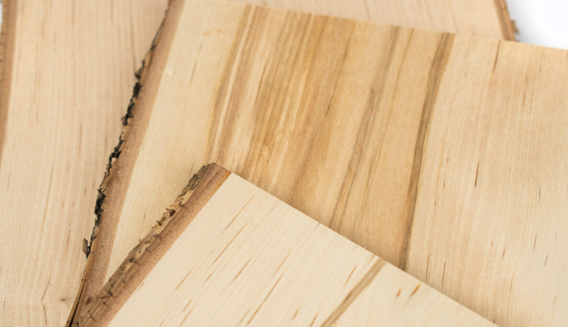 Birch wood used as building material