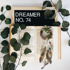 Dreamer No. 74 | The 100 Day Project | Bast + Bruin