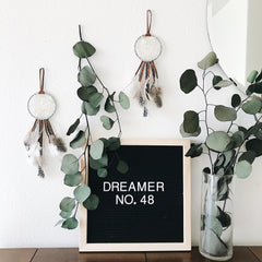 Dreamer No. 48 | The 100 Day Project | Bast + Bruin