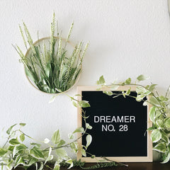 Dreamer No. 28 | The 100 Day Project | Bast + Bruin