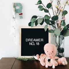 Dreamer No. 18 | The 100 Day Project | Bast + Bruin