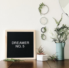Dreamer No. 5 | The 100 Day Project | Bast + Bruin