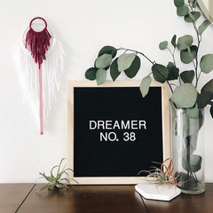 Dreamer No. 38 | The 100 Day Project | Bast + Bruin