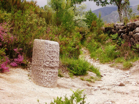 Milestone birthdays traces back to this example of a Roman milestone