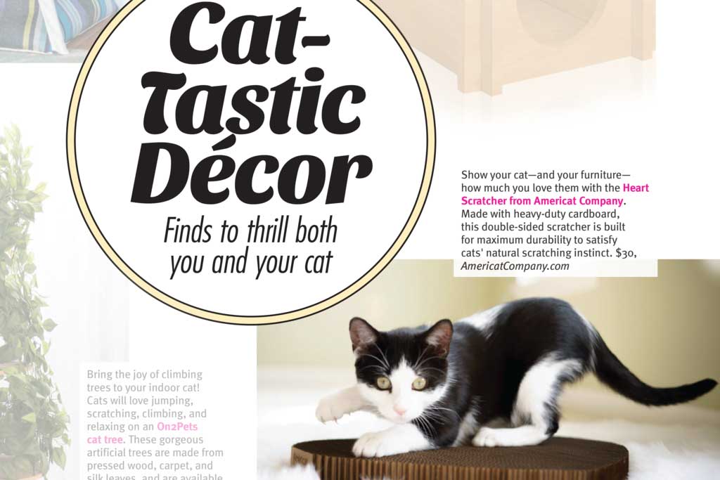 Cat-Tastic Decor article by Modern Cat Magazinet Magazine featuring Americat Company