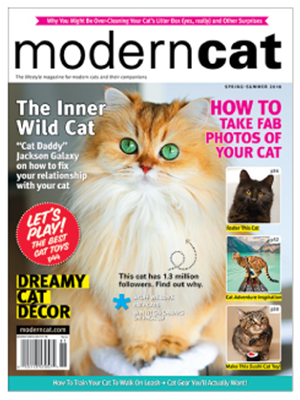 Modern Cat Magazine cover