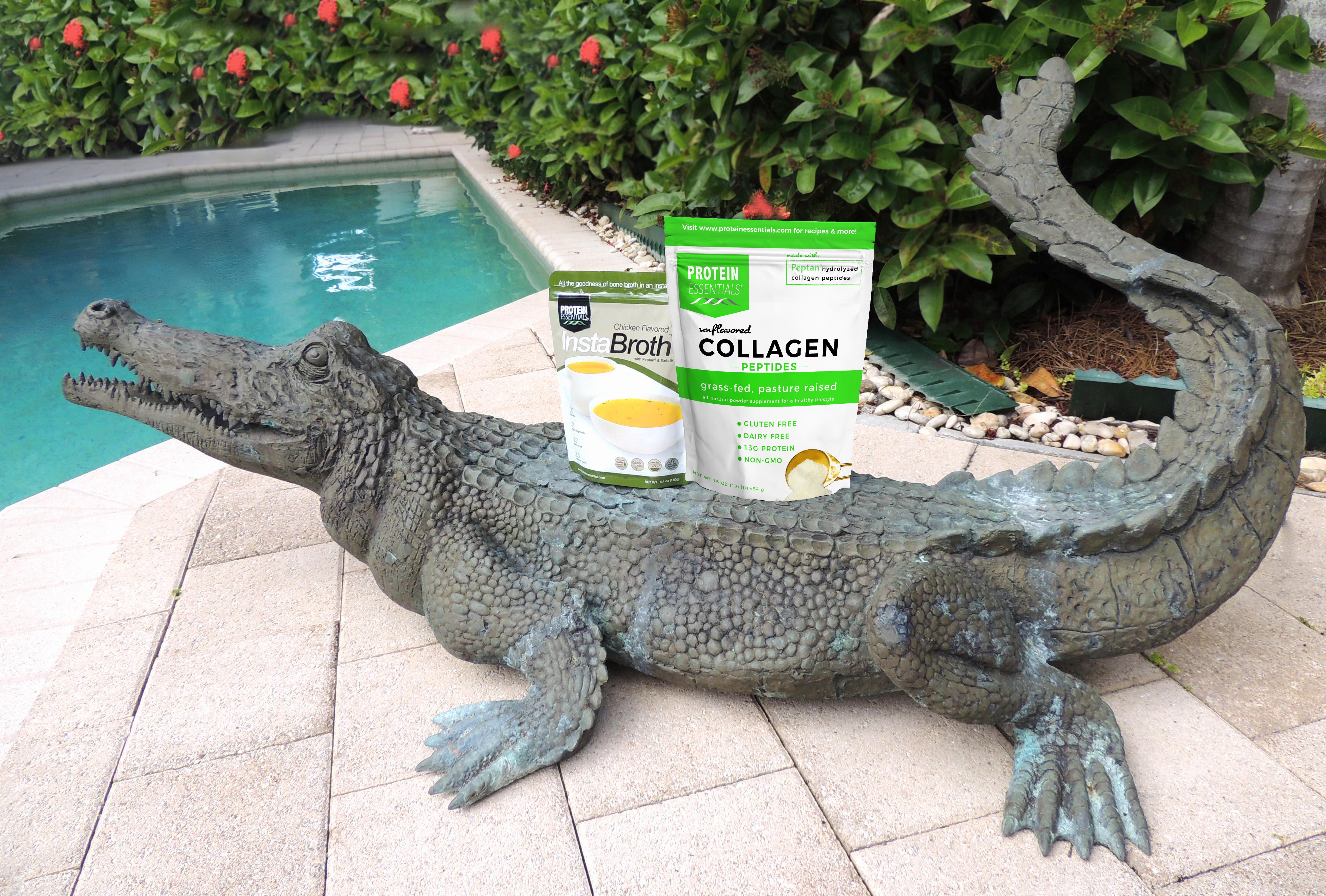 Protein Essentials on Alligator