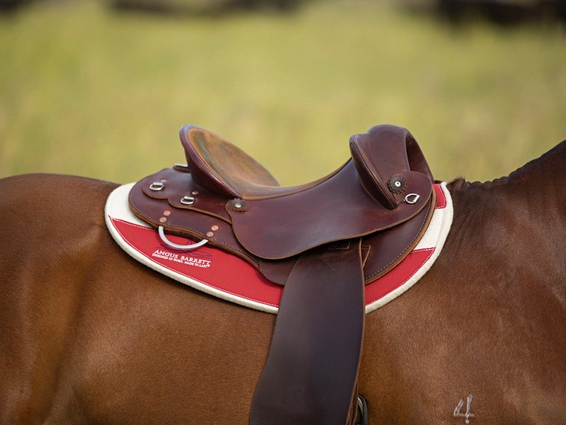 Angus Barrett's Fitted Slimline to suit a stock/fender saddle