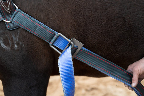 Collar Strap | Angus Barrett Saddlery