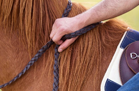 Leather and Rope Reins - SHOP NOW