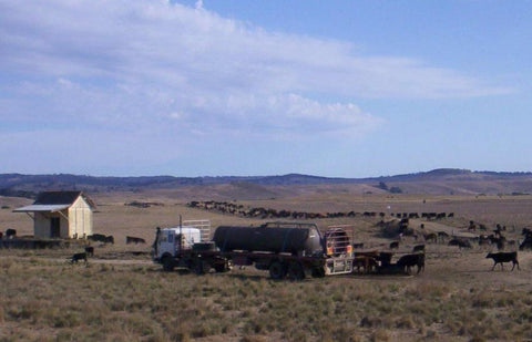 The water truck at Ando.jpg