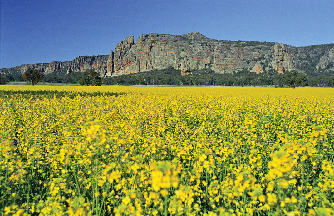 Grampians National Park, Victoria