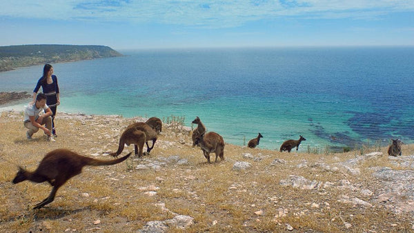 Novapro Sport’s Top 5 Easter Camping Spots in Australia Kangaroo Island