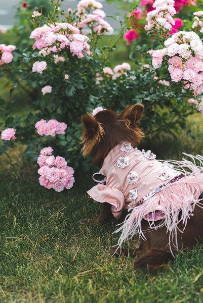 pink flowers chihuahua feathers pearls