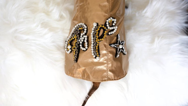 embroidery pearls swarovski gold details dog coat sausage dog