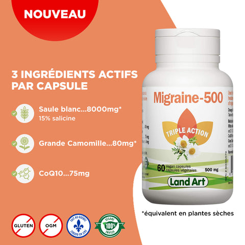 Migraine-500