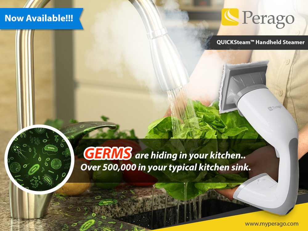 Germs Hiding In Your Kitchen Perago