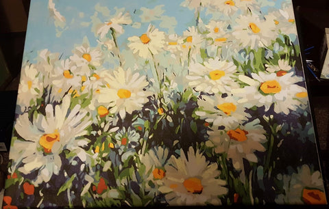 Field of Daisies - Paint by Numbers for Adults