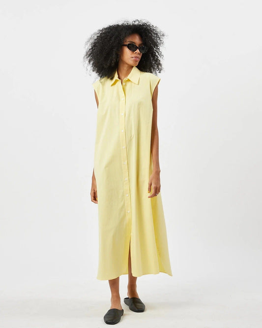 Zasio Midi Dress