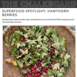 The Chalkboard - Superfood Spotlight: Hawthorn Berries