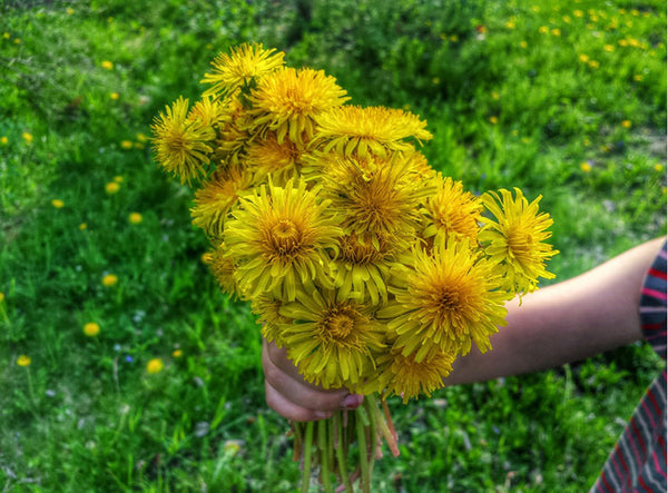 kids dandelion bouquet