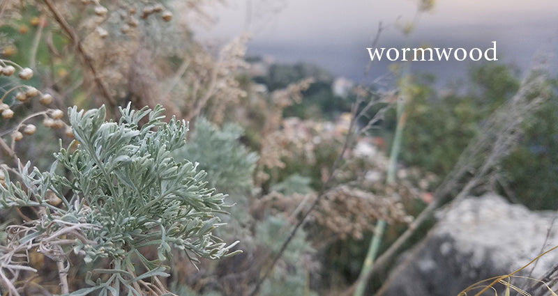 wormwood