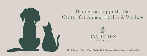 Dandelion in Saucon Valley the Center for Animal Health and Welfare Easton, PA