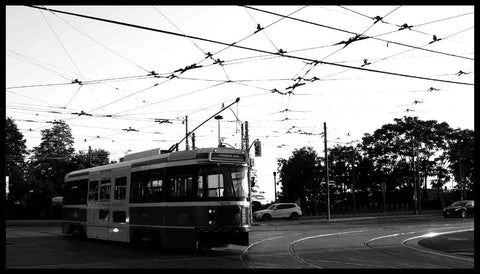 A streetcar in Toronto | Photo by Alley Roots