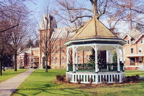 Delhi New York courthouse square