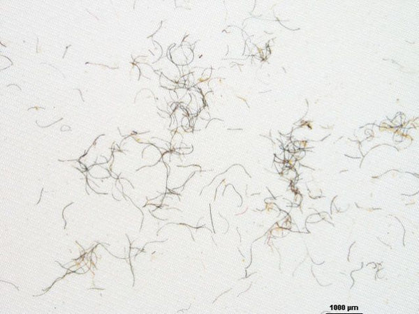  Synthetic microfibers from textiles