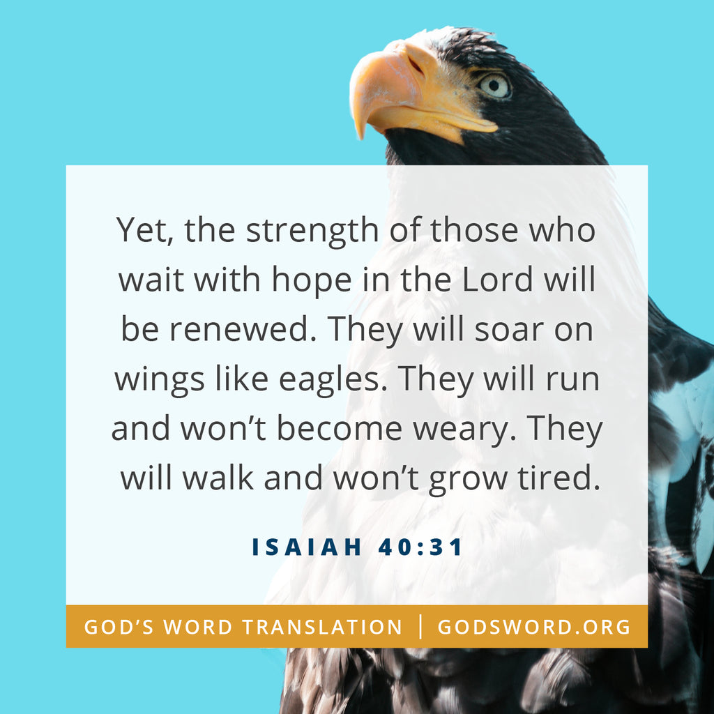 Isaiah 40:31 GW