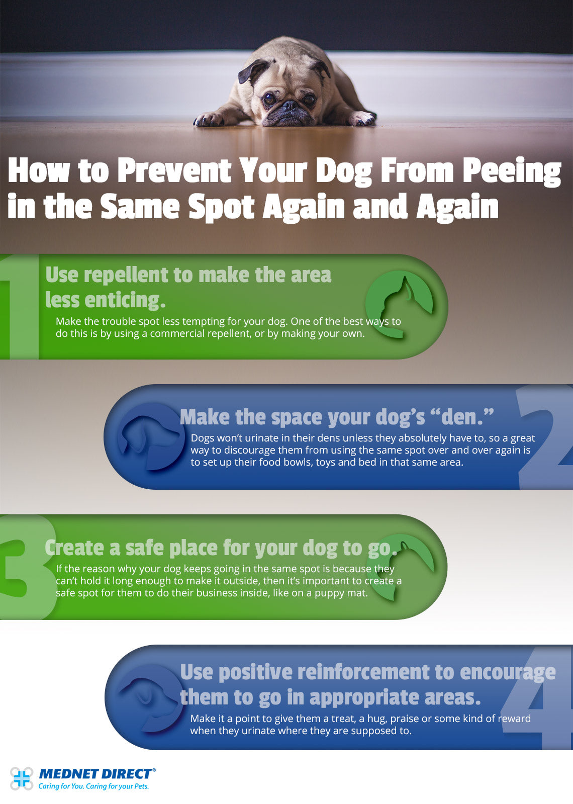 Your Dog From Always Peeing in One Spot 