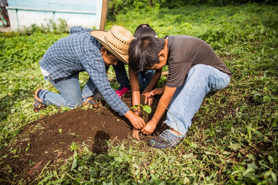 Children planting trees in Latin American