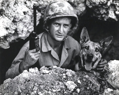 World War II Dog