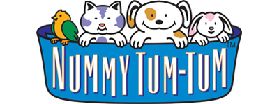 Nummy Tum Tum Logo