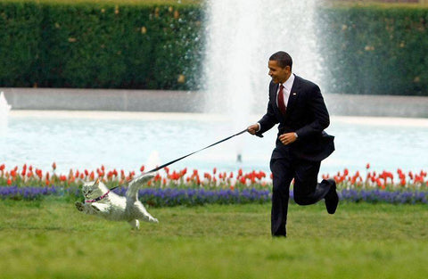 Barack Obama with cat