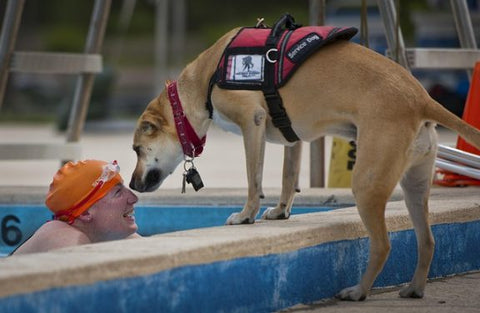 Swimmer with Service Dog