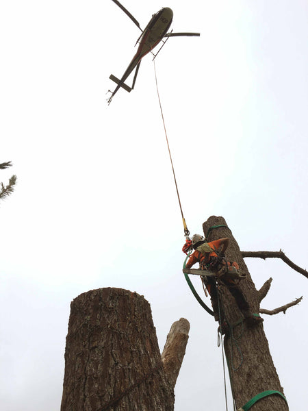Helicopter Tree Removal