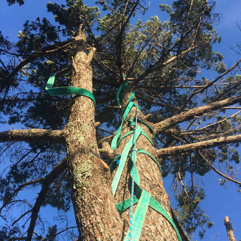 Helicopter Tree Removal - Sling Rigging Technique