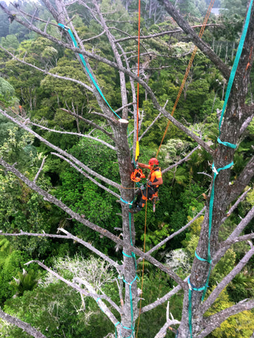 Helicopter Tree Removal - New Zealand Climber