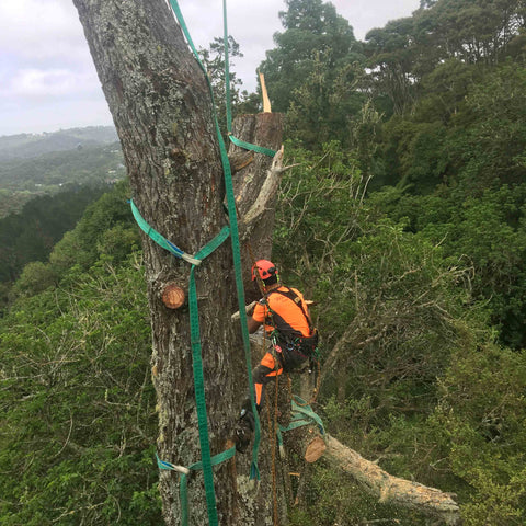 Helicopter Tree Removal - Cutting Log Wood